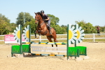 SBM_006532