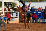 3HRodeo7-12-24_LJD_3HR4122_LJD