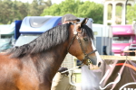 SBM_02041