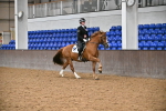 SBM_003068