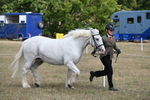 WJ6_6489