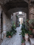 230399 Spello