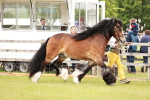SBM_06015