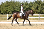 SBM_006672