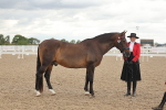 SBM_07645