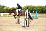 SBM_009016