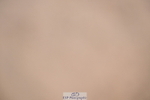 241006A-124811-07334