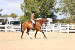 SBM_12914