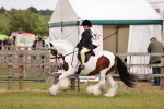 SBM_06156