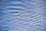 ACP_4750-1
