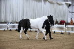 SBM_5341