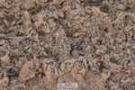 231015A-134308-08407