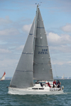 170701 SILVER FOX GBR2293L AE1I4598
