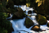 Waterfall at Marian Corner on the road to Milford Sound