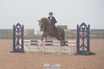 Cls 30 Academy Team Horse 85cm portfolio