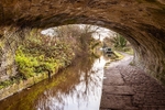 Under Bridge 26 towards Clarence Mill