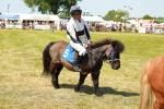 SBM_16851