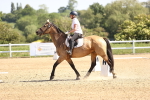 SBM_007808