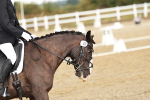 SBM_002640