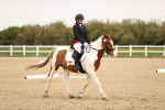 SBM_006890