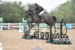 Cls 6 British Novice & 90cm Open portfolio