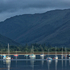 Holy Loch boats
