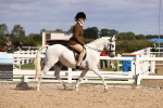 SBM_11651