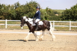 SBM_003751