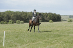 BVHT 140517  NXC -533