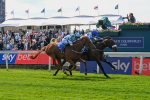 140525-Race 1-Almoshher-1599