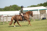 SBM_09771