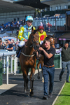 270526-Race 4-Mao Shang Wong-2980