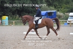 BPP_0167
