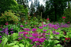 Landscapes portfolio