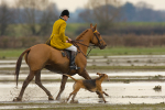 Berkley Hunt  No 2