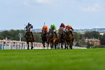 300826-Race 2-Jm Jungle-9515