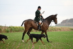WJ6_9414