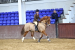 SBM_003598