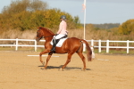 SBM_008800
