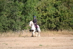 WJ6_7073