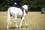 Side Saddle Classes BVRC Show 2018 portfolio