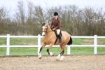 SBM_007538