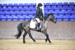 SBM_000253