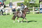 SBM_50413