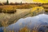 Beaver Pond reflections 2