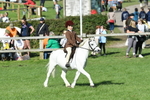 SBM_50386