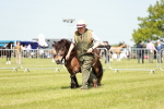 SBM_01845