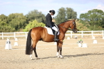 SBM_016087