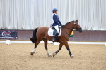 SBM_001246