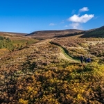 Forest of Bowland